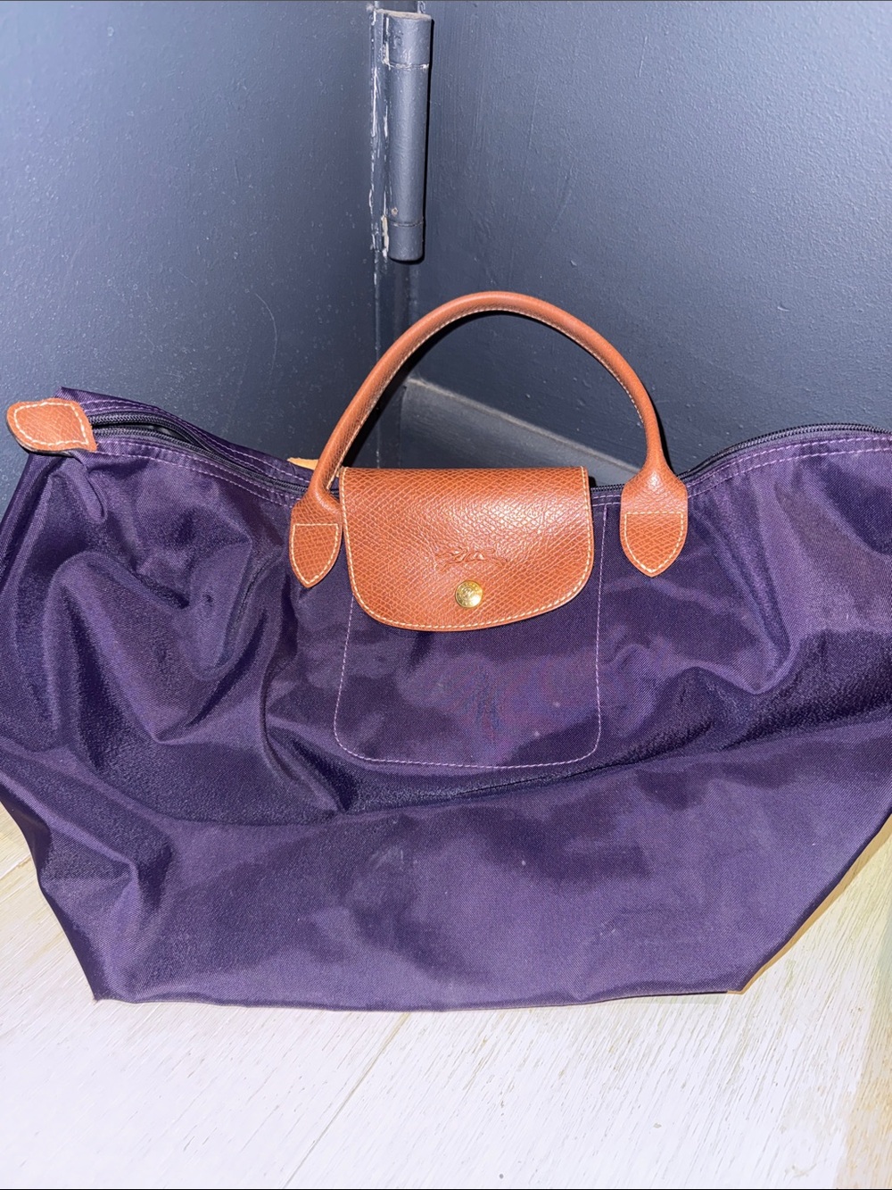 Longchamp Tote Bag with Brown Leather Trim
